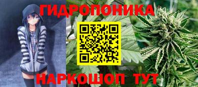 MDMA Краснознаменск