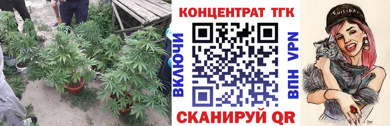наркота  Тихвин  Дистиллят ТГК THC oil 