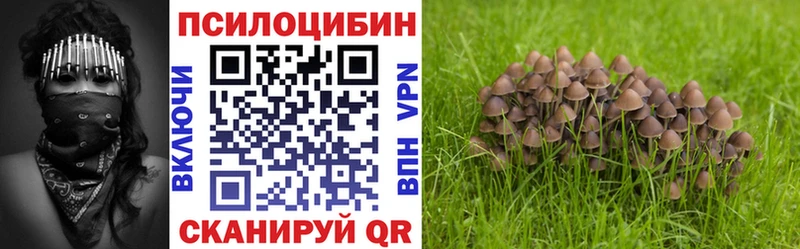 Псилоцибиновые грибы прущие грибы Тихвин