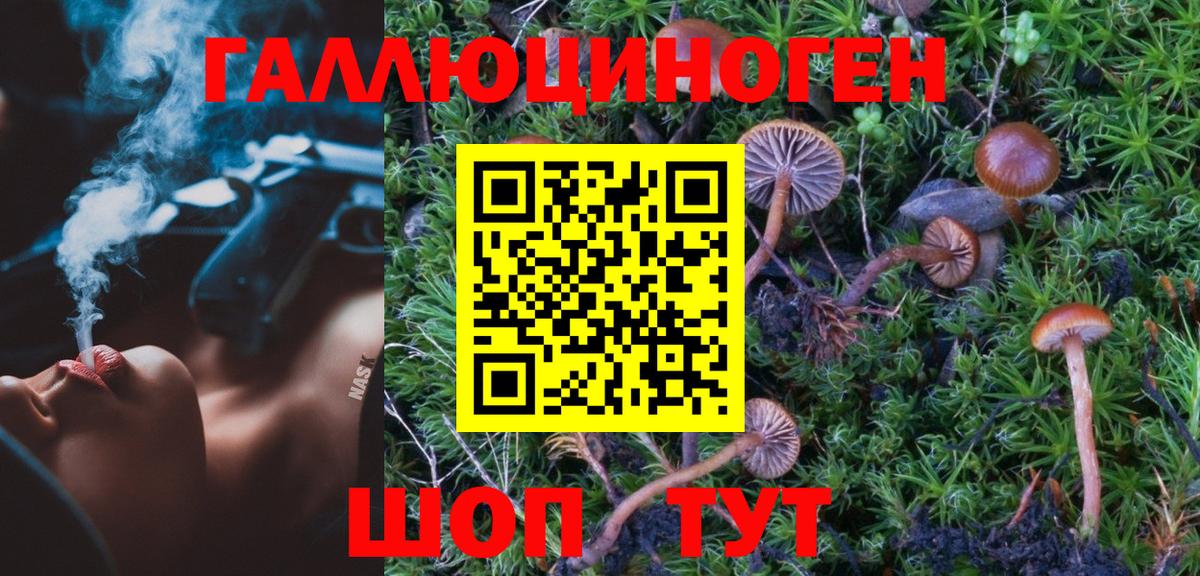 Псилоцибиновые грибы мухоморы  Вход с VPN  Тихвин 