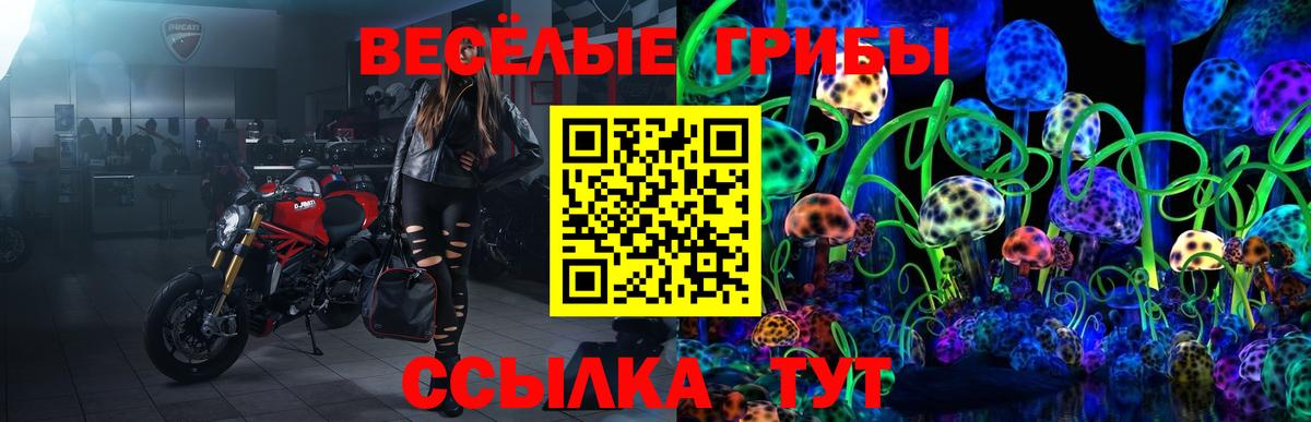Псилоцибиновые грибы Cubensis Тихвин